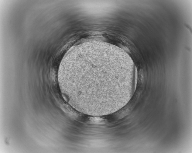 X0000100190380200806271624