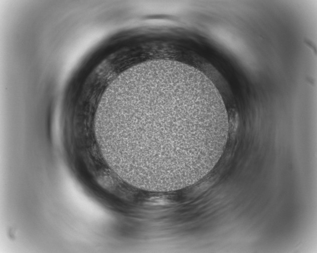 X0000100190381200806271624