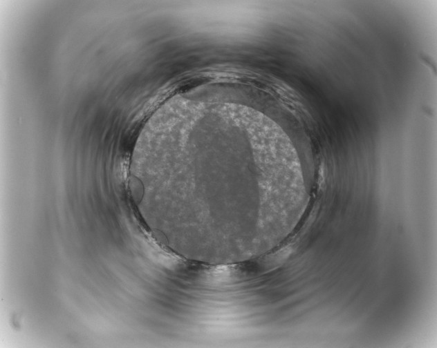X0000100190382200806271624