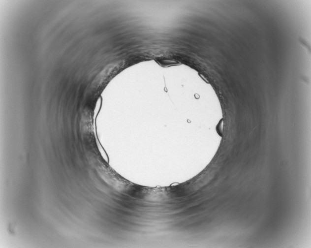 X0000100190384200806271624