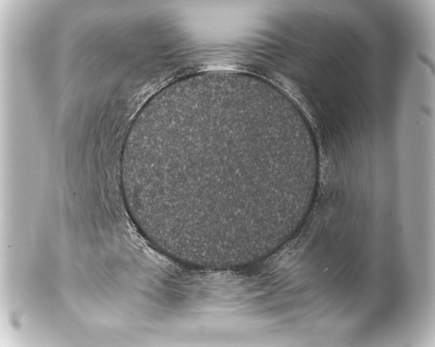 X0000100190385200806271623