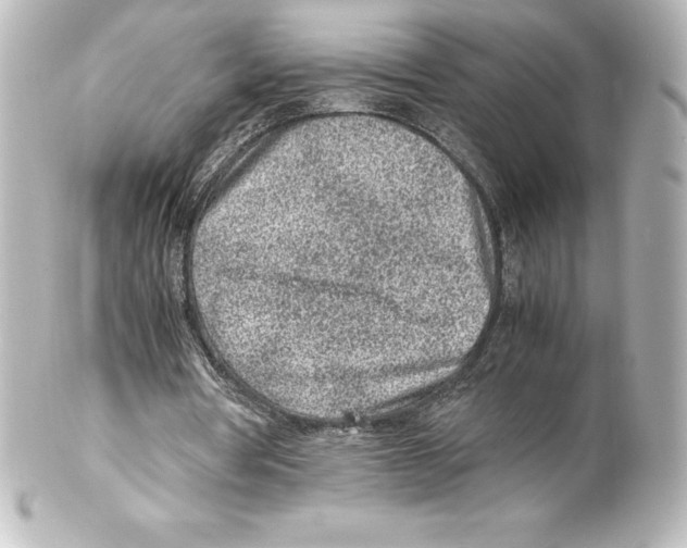 X0000100190386200806271623