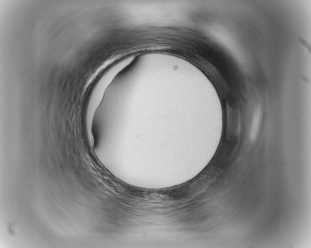 X0000100190387200806271623
