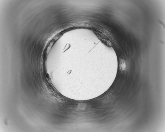 X0000100190388200806271623