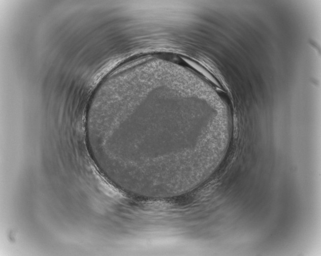 X0000100190389200806271623