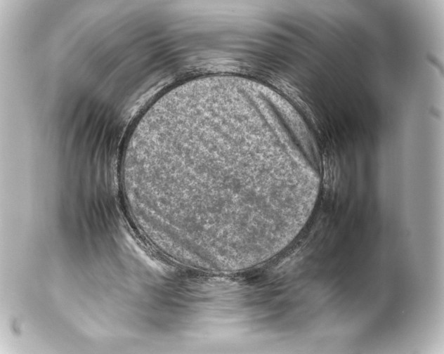 X0000100190390200806271623