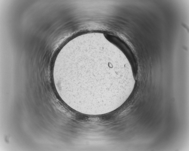 X0000100190391200806271623