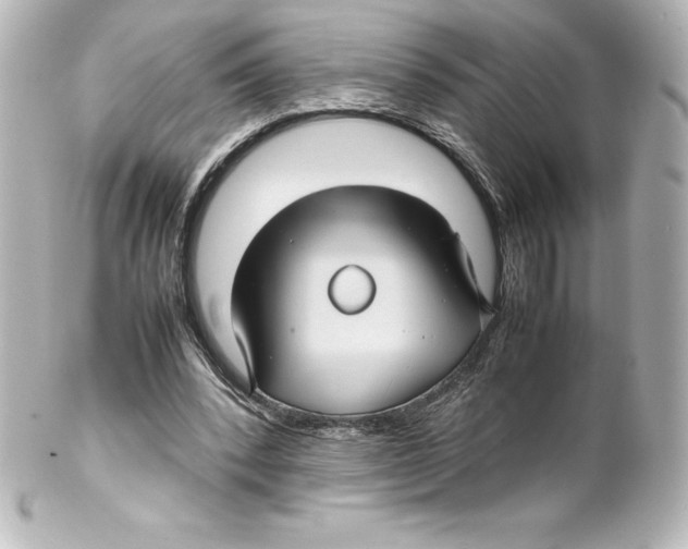 X0000100190392200806271623