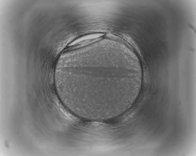 X0000100190393200806271623