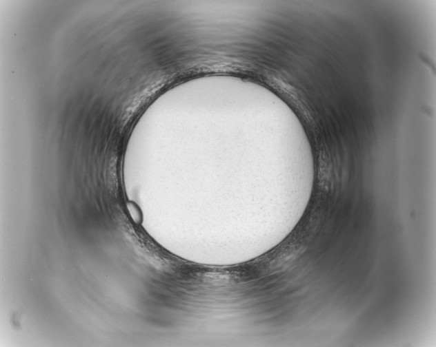 X0000100190394200806271623