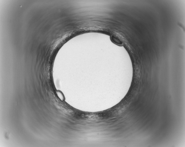 X0000100190395200806271623