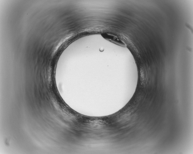 X0000100190396200806271623