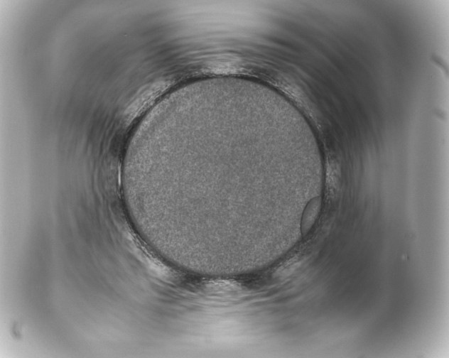 X0000100190397200806271623