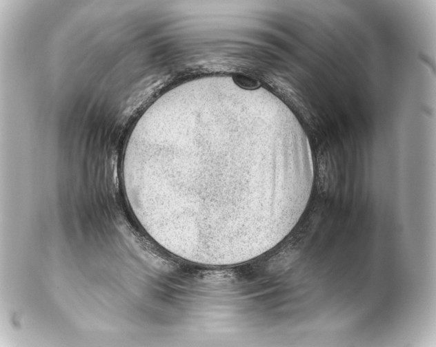 X0000100190398200806271623