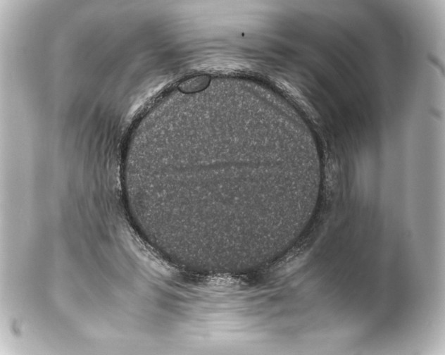 X0000100190399200806271623