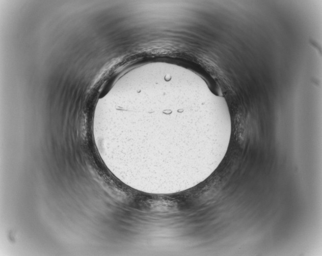 X0000100190400200806271623