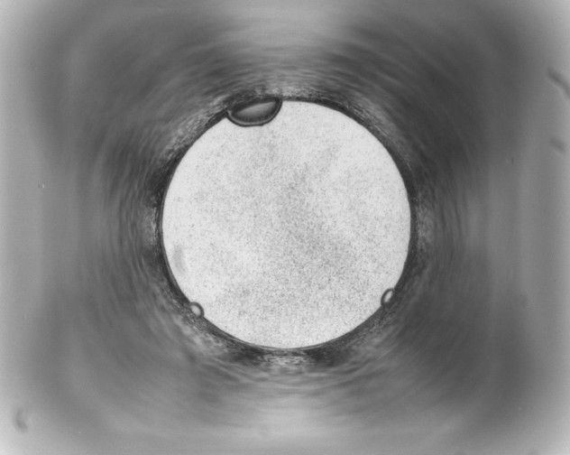X0000100190401200806271623