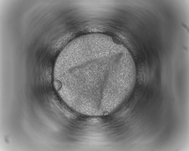 X0000100190402200806271623
