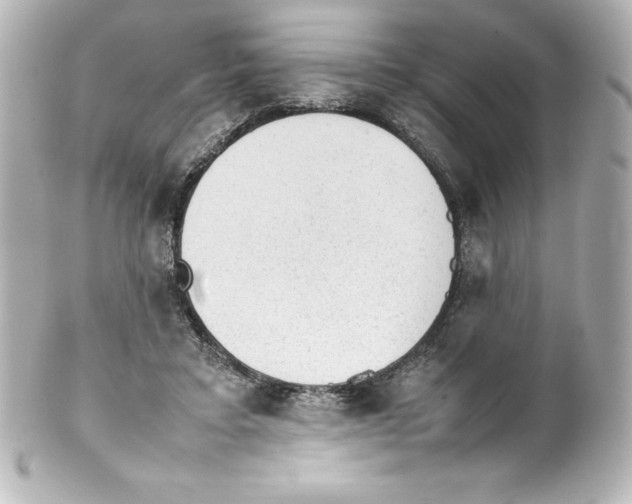 X0000100190403200806271623