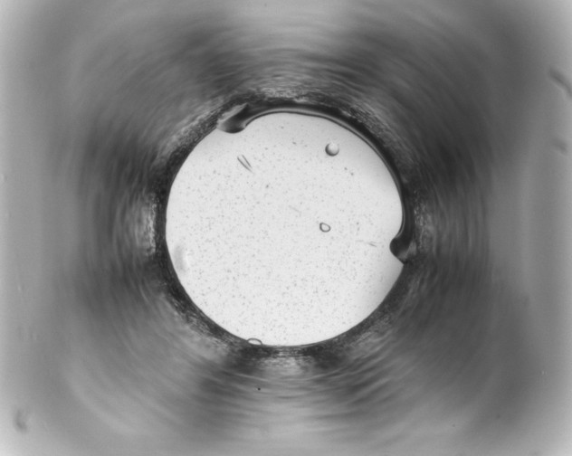 X0000100190404200806271623