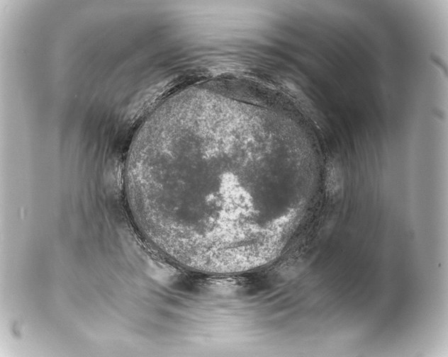 X0000100190405200806271623
