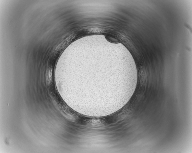 X0000100190406200806271623