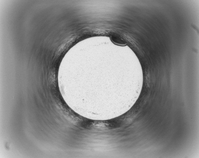 X0000100190407200806271623