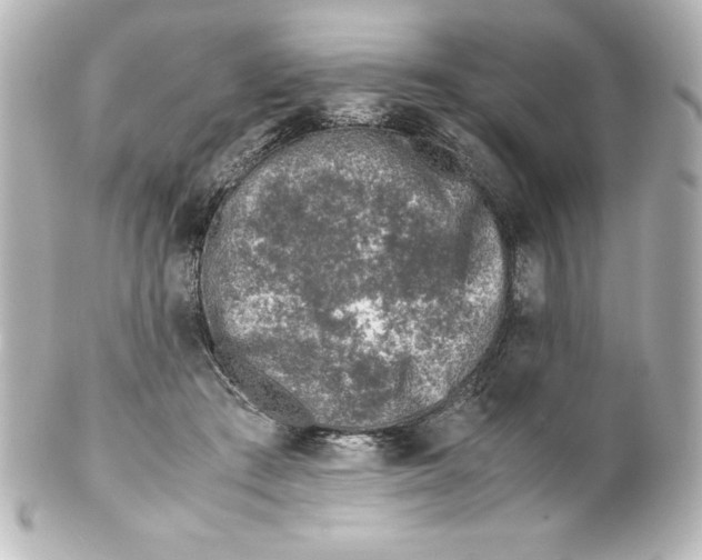 X0000100190409200806271623