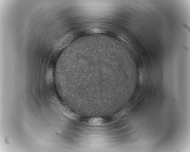 X0000100190410200806271623