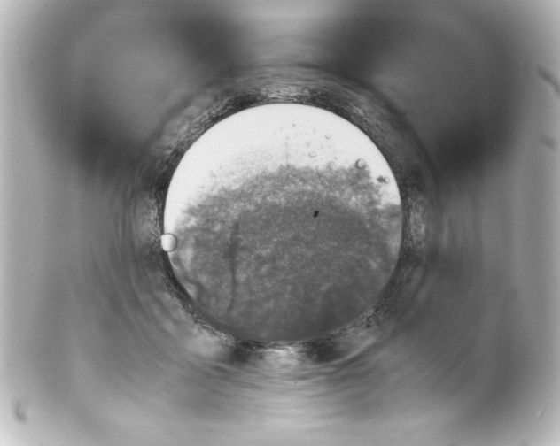 X0000100190411200806271623