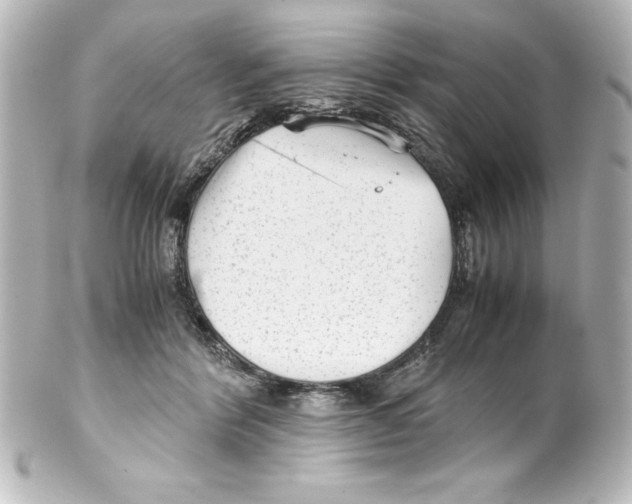 X0000100190412200806271623
