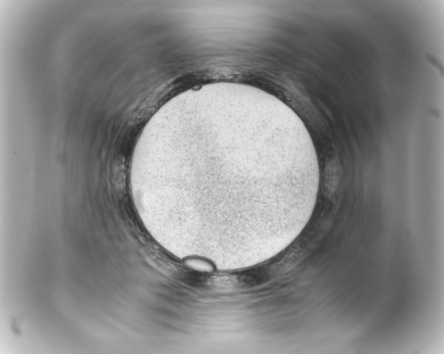 X0000100190413200806271623