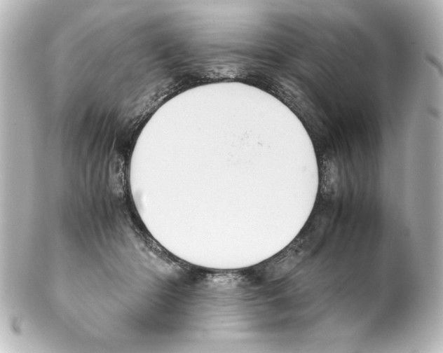 X0000100190414200806271623