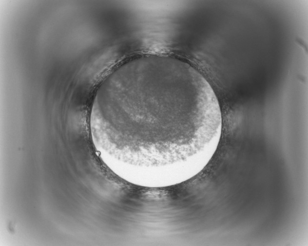 X0000100190415200806271623