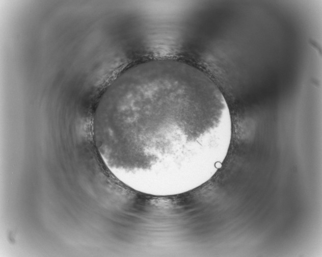 X0000100190419200806271623