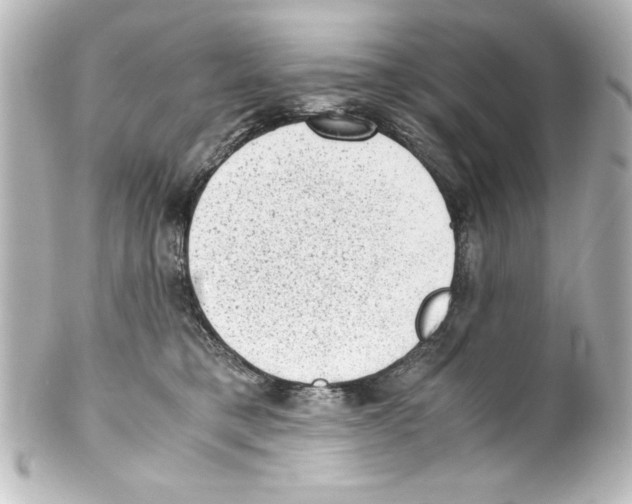 X0000100190421200806271623