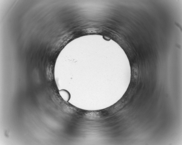 X0000100190422200806271623