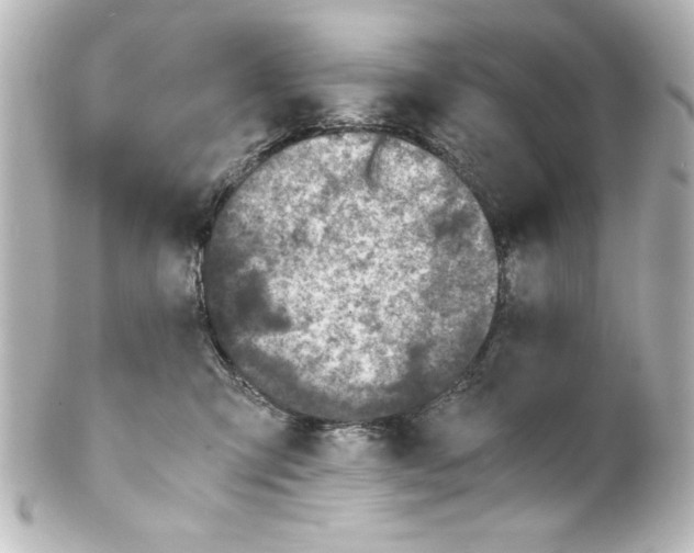 X0000100190423200806271623