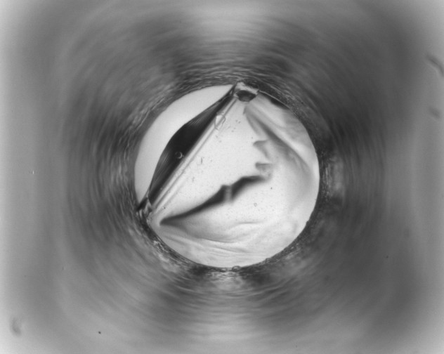 X0000100190424200806271623