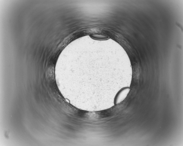 X0000100190425200806271623