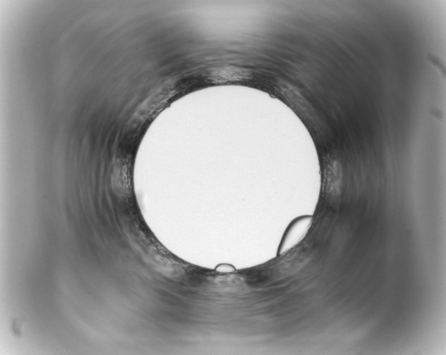 X0000100190426200806271623