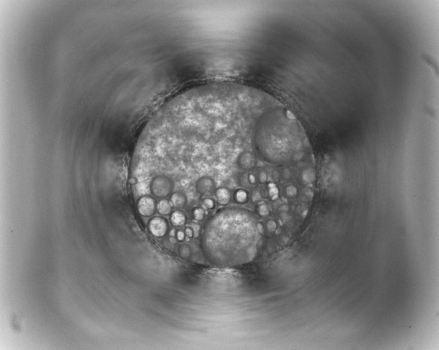 X0000100190427200806271623