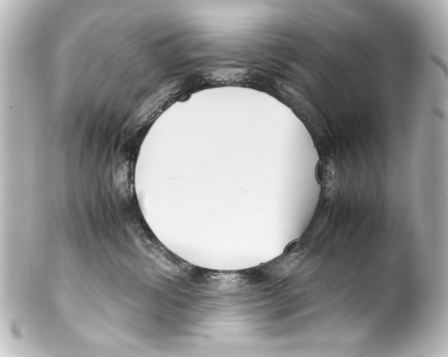 X0000100190428200806271623