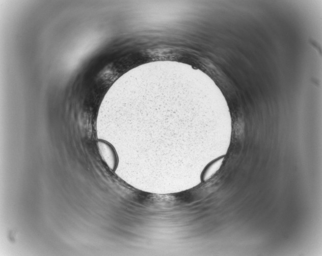 X0000100190429200806271623