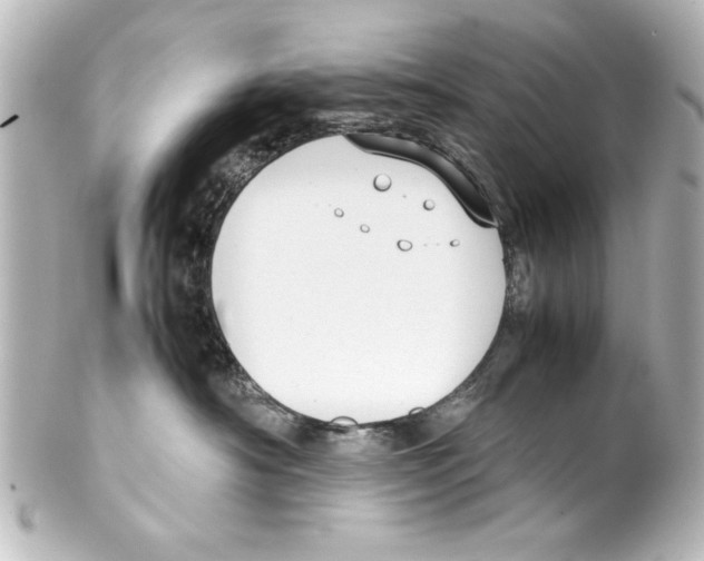 X0000100190430200806271623