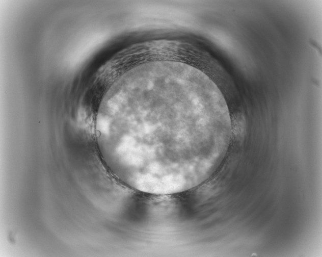 X0000100190431200806271623