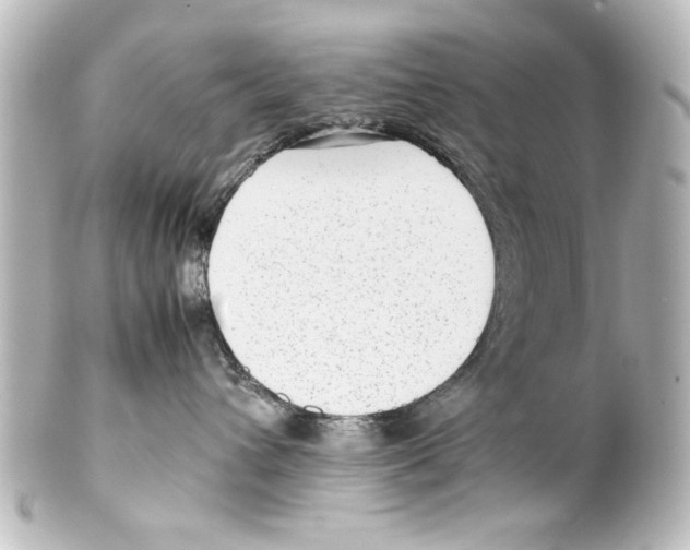 X0000100190432200806271623