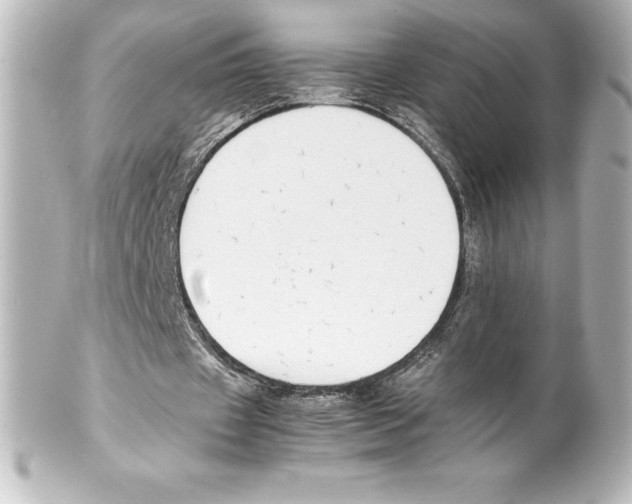 X0000100190433200806271622