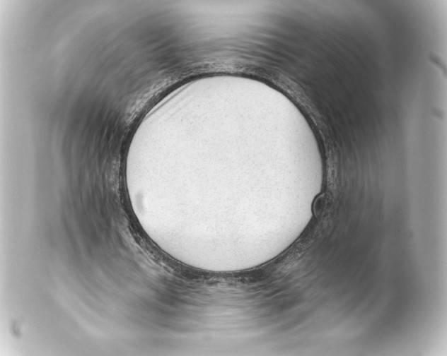 X0000100190434200806271622