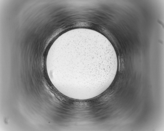 X0000100190435200806271622